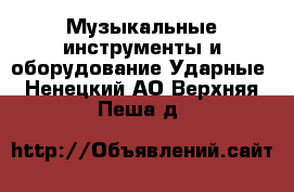 Музыкальные инструменты и оборудование Ударные. Ненецкий АО,Верхняя Пеша д.